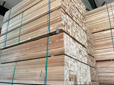 Wood Timber Industry