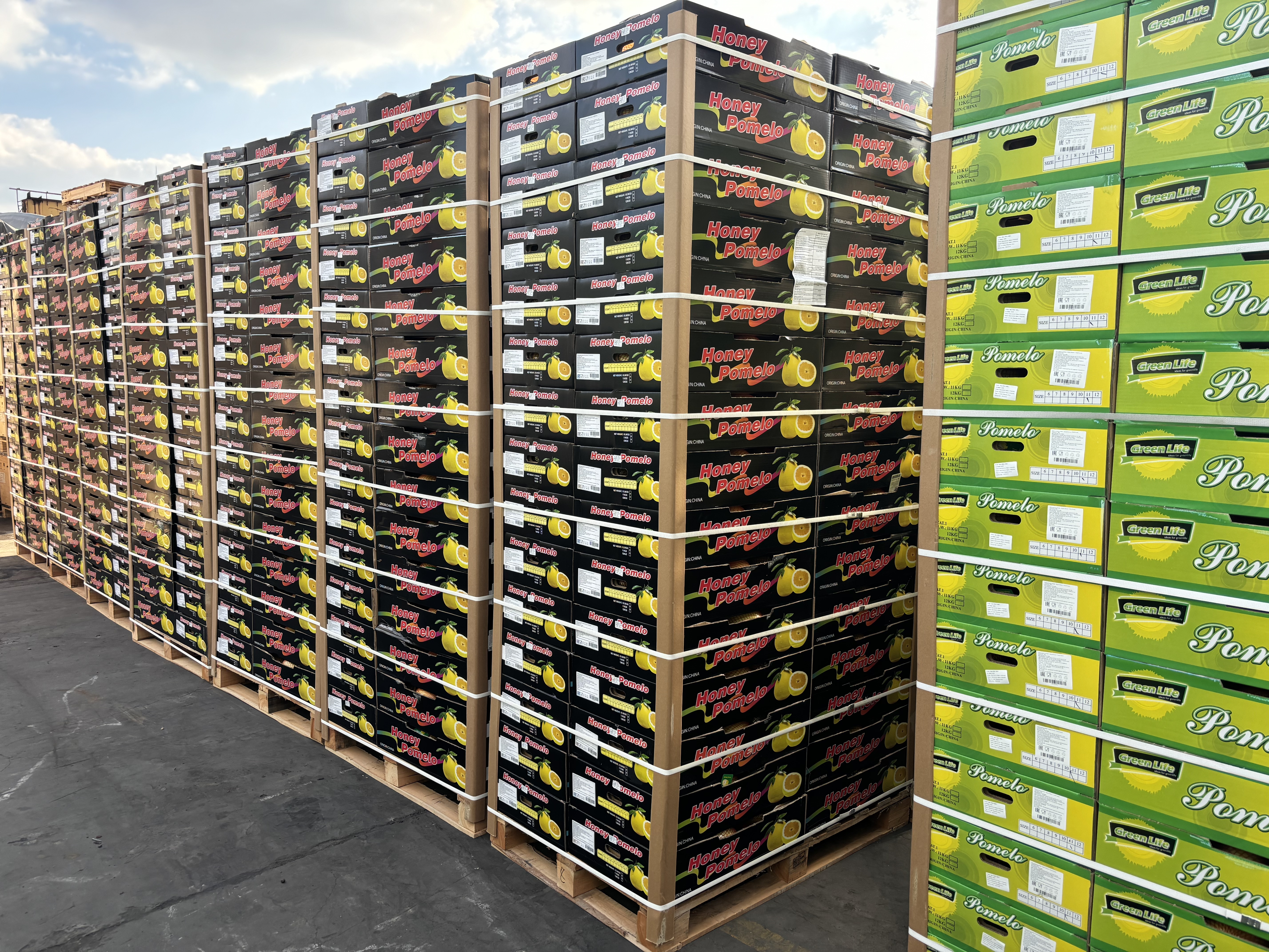 Fruit Industry